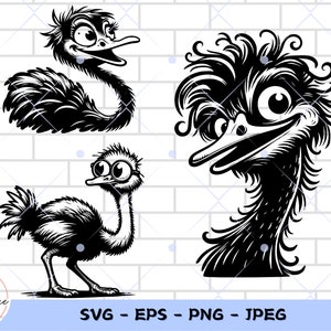 Funny Ostrich Svg Digital Download Cartoon Ostrich Vector file Printable Cute Ostrich Silhouette Bird Png Bundle tshirt design iron on vinyl