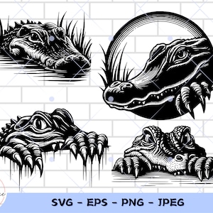 May include: A set of eight digital files featuring black and white illustrations of alligators in various poses. The alligators are depicted with detailed features, including scales, teeth, and claws. The illustrations are suitable for use in crafting projects, such as vinyl decals, t-shirt designs, and more.