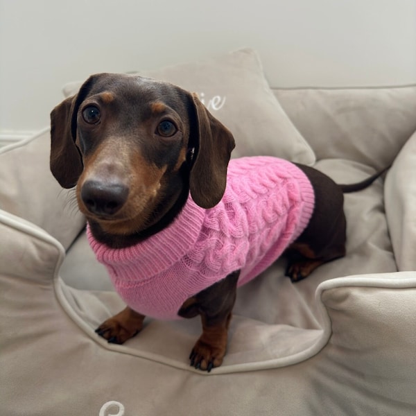 Pink Knitted Dog Jumper Knitted Dog Sweater Sausage Dog Jumper Christmas Present For Doggy Pet Dachshund Dog Lover Gift Pet Gift green
