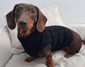 Pull noir pour chien Pull en tricot pour chien Pull pour chien saucisse, cadeau de Noël pour chien, animaux de compagnie, teckel, cadeau pour amoureux des chiens, cadeau pour animal de compagnie