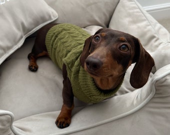 Khaki Knitted Dog Jumper Knitted Dog Sweater Sausage Dog Jumper Christmas Present For Doggy Pet Dachshund Dog Lover Gift Pet Gift green