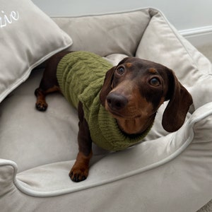 Dachshund christmas jumper for dog discount