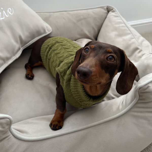 Khaki Knitted Dog Jumper Knitted Dog Sweater Sausage Dog Jumper Christmas Present For Doggy Pet Dachshund Dog Lover Gift Pet Gift green