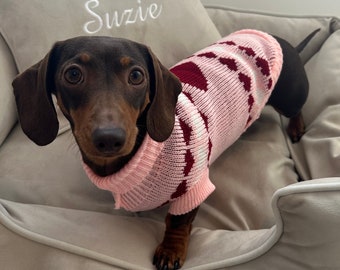 May include: A brown and tan dachshund wearing a pink and burgundy sweater with a paw print design. The dog is sitting on a beige dog bed with the name "Suzie" embroidered on the pillow and the bed.