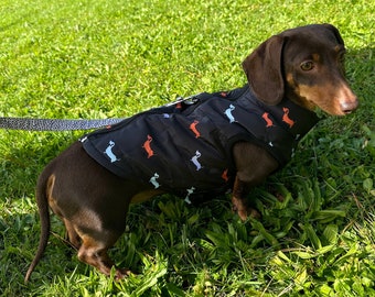 May include: A brown dachshund wearing a black quilted dog vest featuring a repeating pattern of small orange and light blue dachshund silhouettes. The vest has a zipper closure along the back and is attached to a black and white spotted leash.