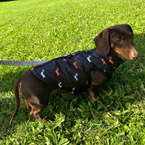 Dog body warmers uk outlet