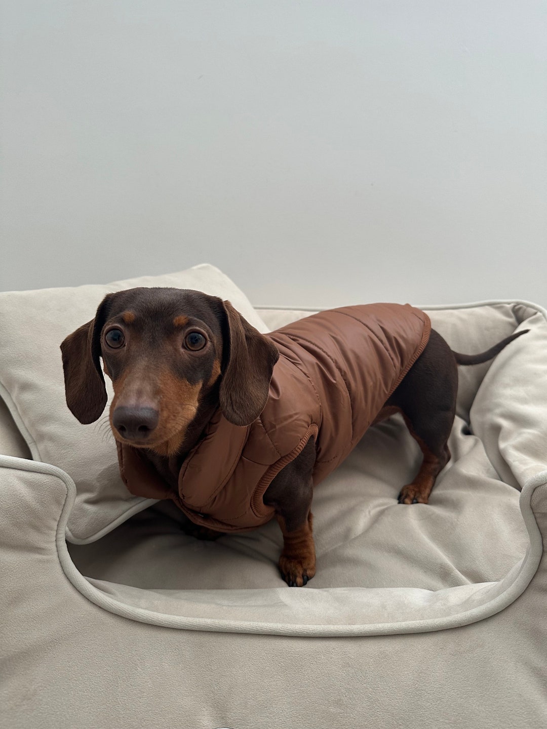 Dog Gilet Brown Dog Body Warmer Sausage Dog Jacket Pet Christmas
