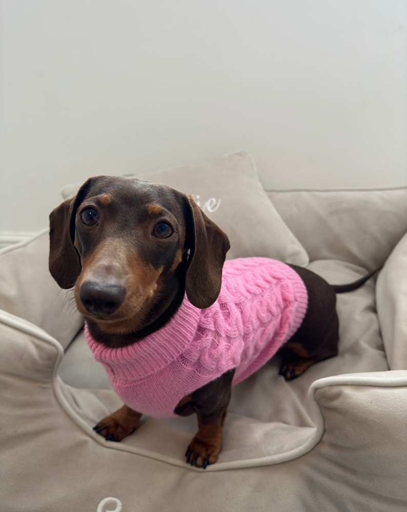 Pink Knitted Dog Jumper Knitted Dog Sweater Sausage Dog Jumper Etsy UK