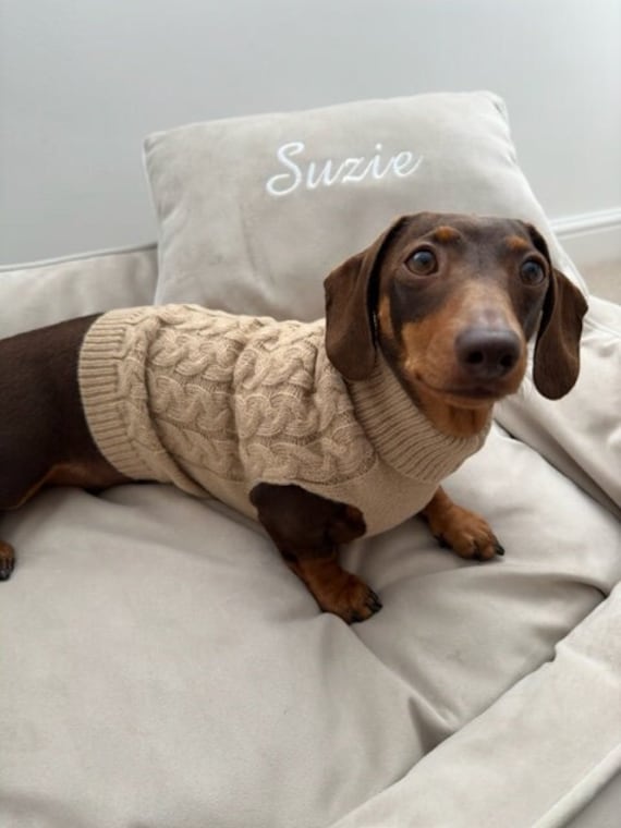 Cheap dog sweaters discount