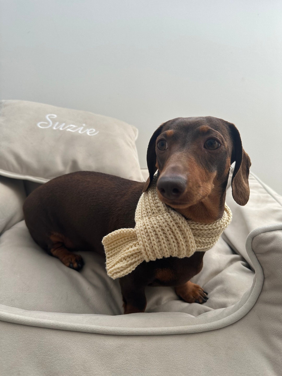 Knitted Dog Scarf Sausage Dog Scarf Small Dog Scarf Neckwear Etsy UK