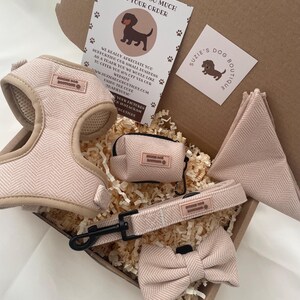 Puede incluir: Un conjunto de accesorios para perro en una caja de cart&oacute;n, que incluye un arn&eacute;s de color rosa claro con patr&oacute;n de espiga, una correa a juego con clip de metal negro, un dispensador de bolsas, una pajarita y un pa&ntilde;uelo triangular con etiquetas.