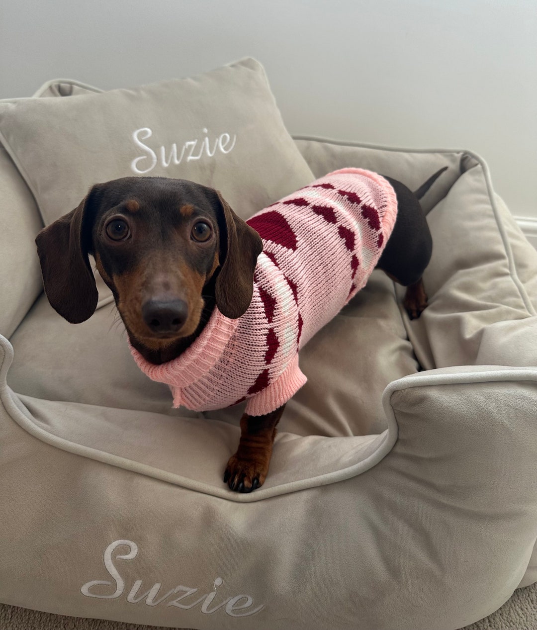 Knitted Dog Jumper Pink Heart Knitted Dog Sweater Sausage Dog Etsy UK