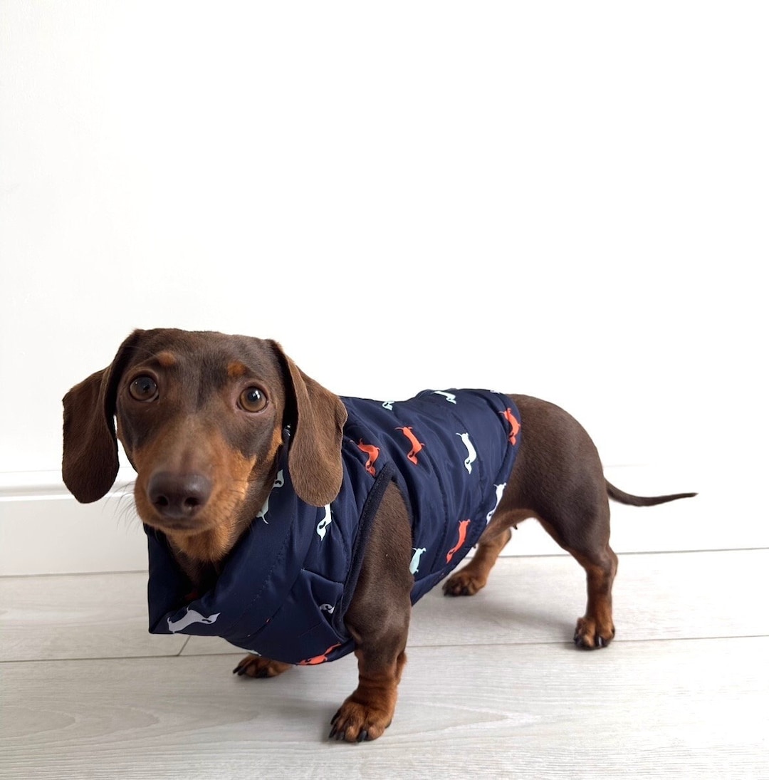 Sausage Dog Gilet Blue Dog Body Warmer Dog Jacket Pet Christmas Present