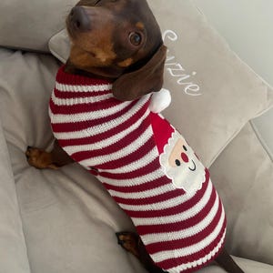 Knitted Dog Christmas Jumper Knitted Dog Sweater Sausage Dog Jumper Christmas Santa Christmas Present For Doggy Pet Pets Dachshund bulldog
