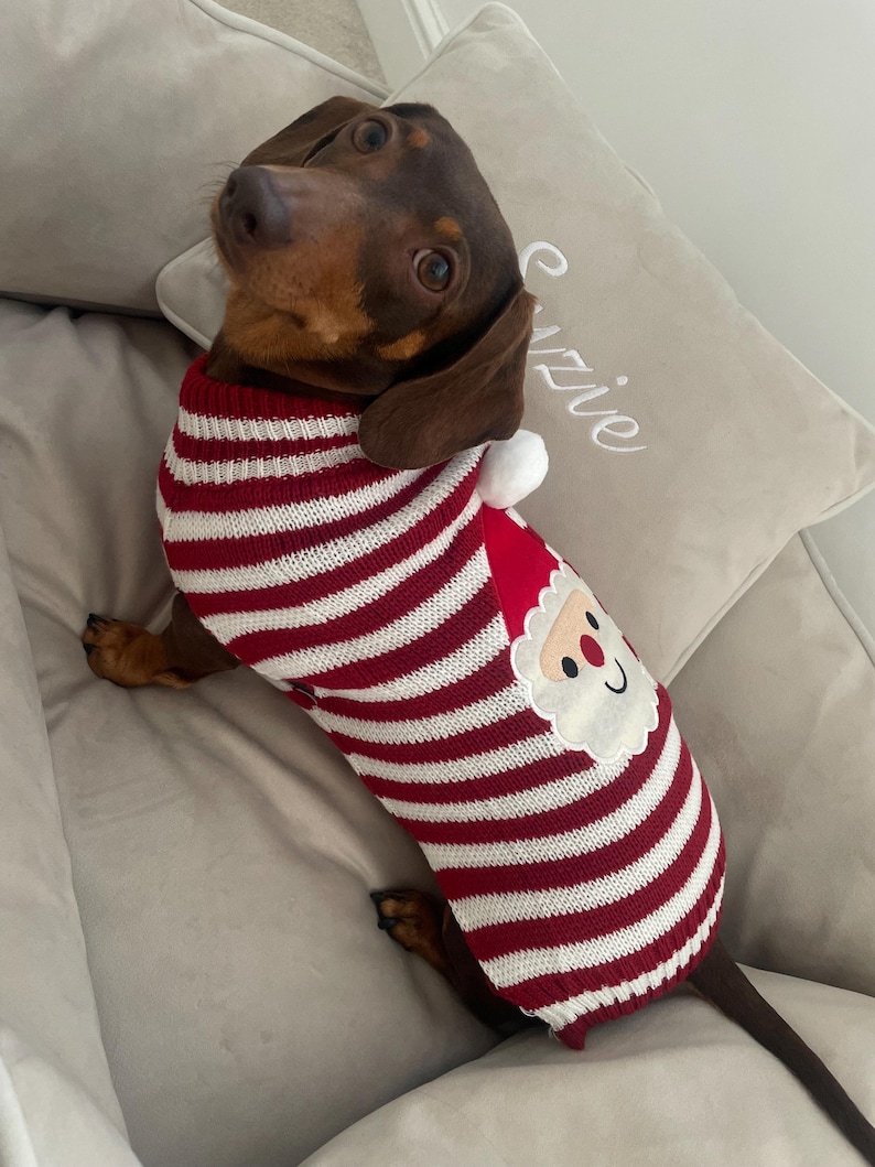 Knitted Dog Christmas Jumper Knitted Dog Sweater Sausage Dog Jumper ...