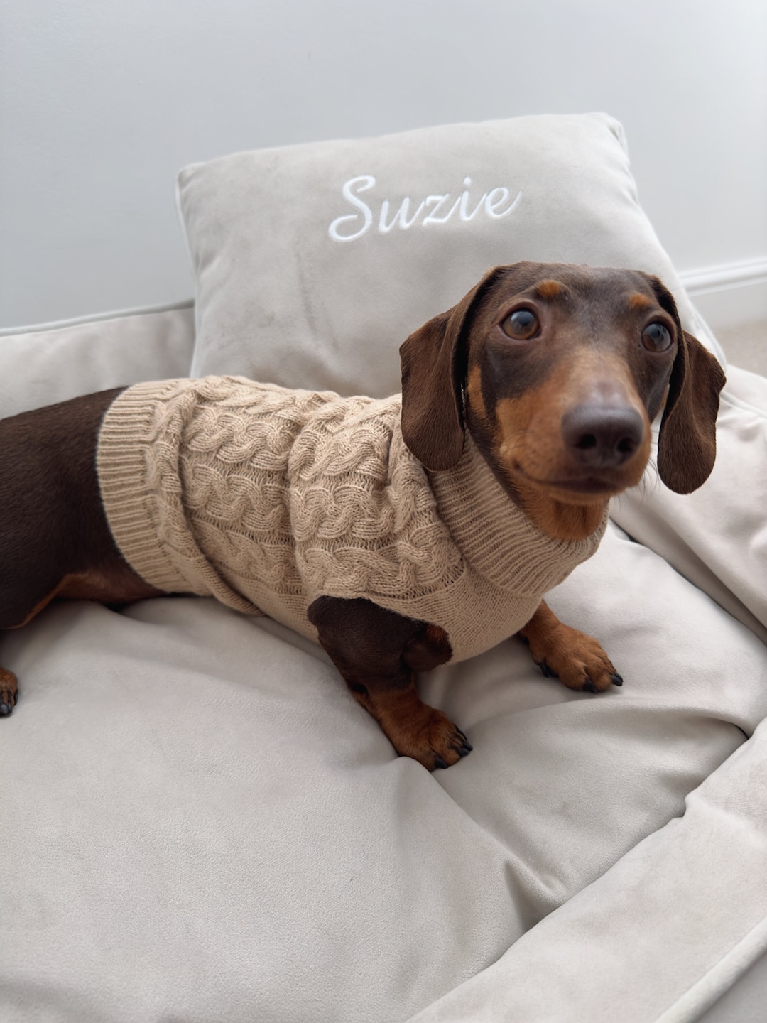 Size Chart Miniature Dachshund Clothes Size Beige Knitted Dog