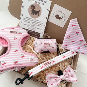May include: A dog accessory set in a cardboard box. The set includes a pink and white striped harness, leash, bow tie, bandana, and waste bag dispenser, all adorned with cherry patterns. The box also contains a thank you card and a business card.