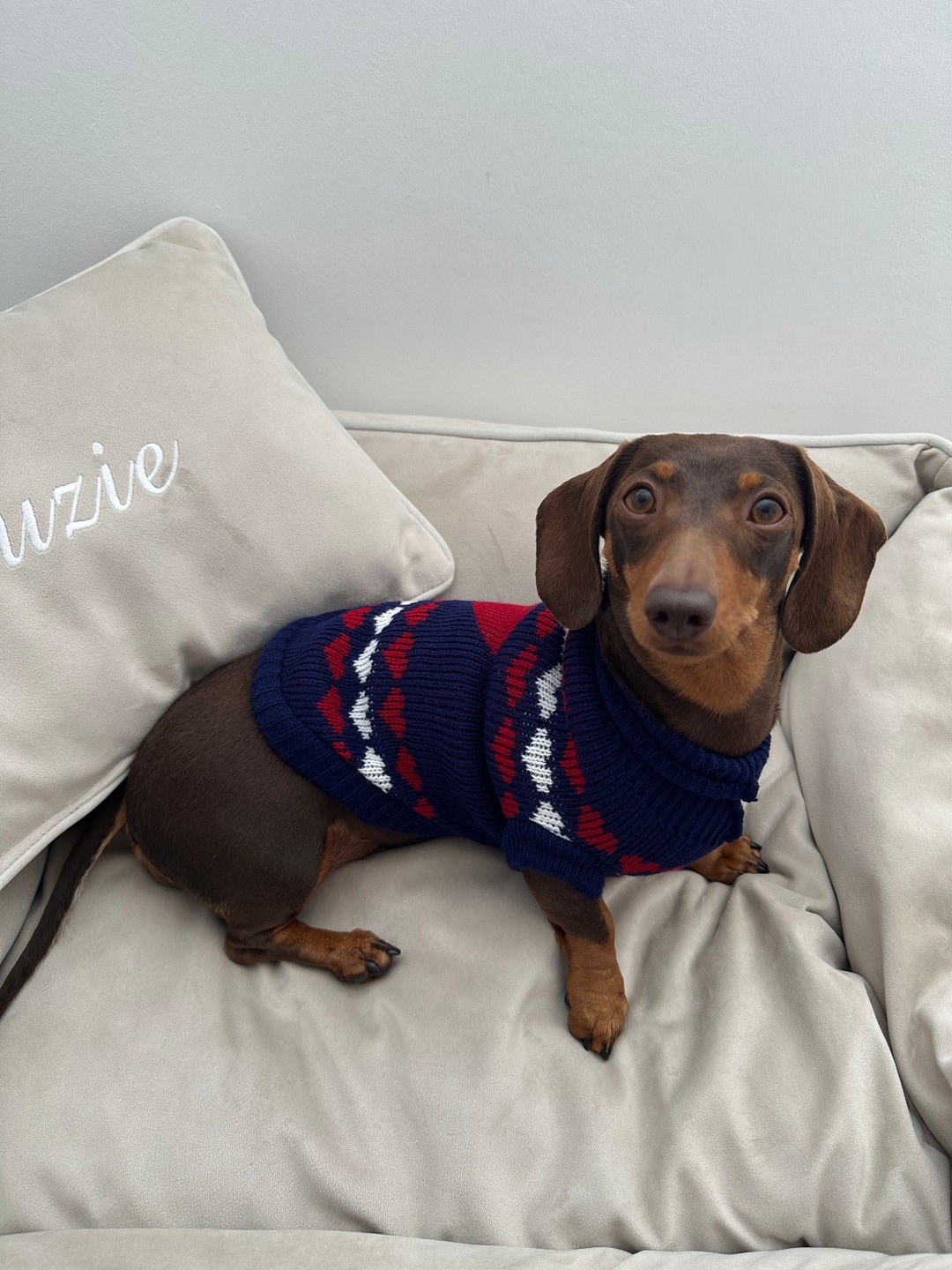 Knitted Dog Jumper Blue Heart Knitted Dog Sweater Sausage Dog Etsy