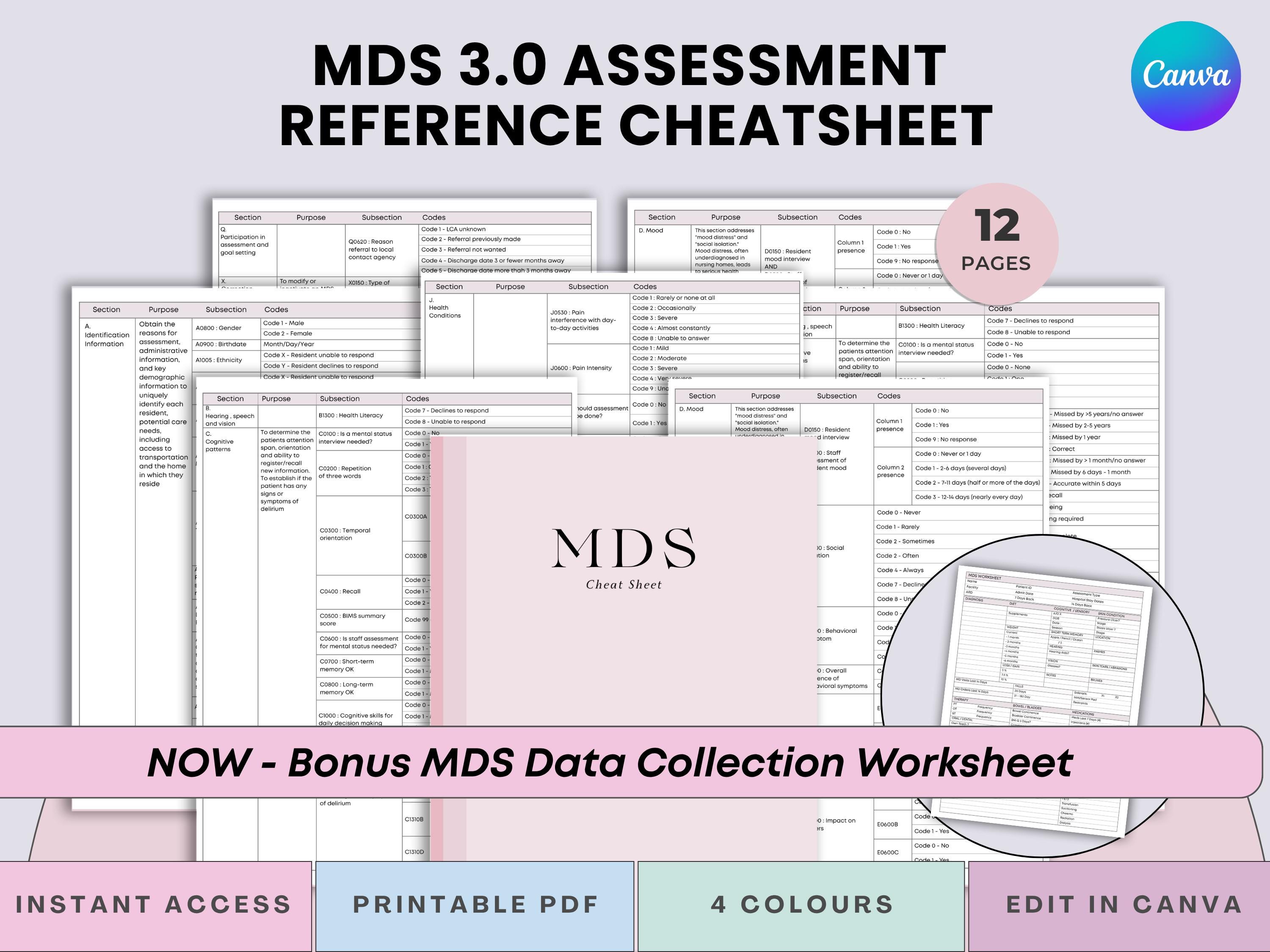 MDS 3.0 Assessment Cheat Sheet Set - MDS Coordinators Quick