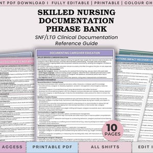 May include: A 10-page Skilled Nursing Documentation Phrase Bank and SNF/LTG Clinical Documentation Reference Guide in PDF format. The document features text on documenting caregiver education, clinical reasons, and recovery speed, with a white stylus.