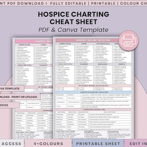 May include: A hospice charting cheat sheet PDF and Canva template featuring a hospice decline detector with columns for general decline, cancer, liver disease, renal, cardiac, pulmonary, neurological, and dementia symptoms with checkboxes.