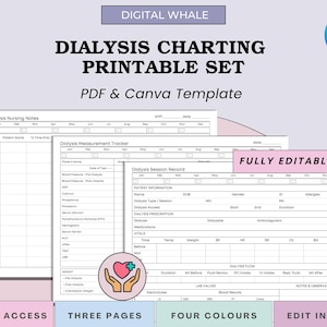 Set di cartelle cliniche per infermieri di dialisi – Cartella clinica stampabile, registro e foglio di flusso / Parametri vitali, peso, farmaci, esami di laboratorio, note infermieristiche / Stampa PDF / Canva