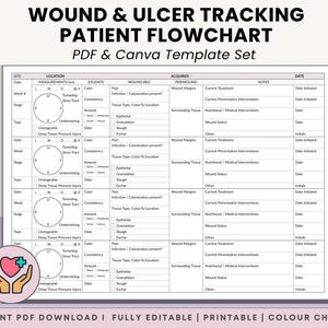Wound, Pressure Injury & Ulcer Care Flowchart - Hospice, LTC, Home Health, SNF and Skilled Nurses - Skin Assessment Care Plan - PDF + Canva