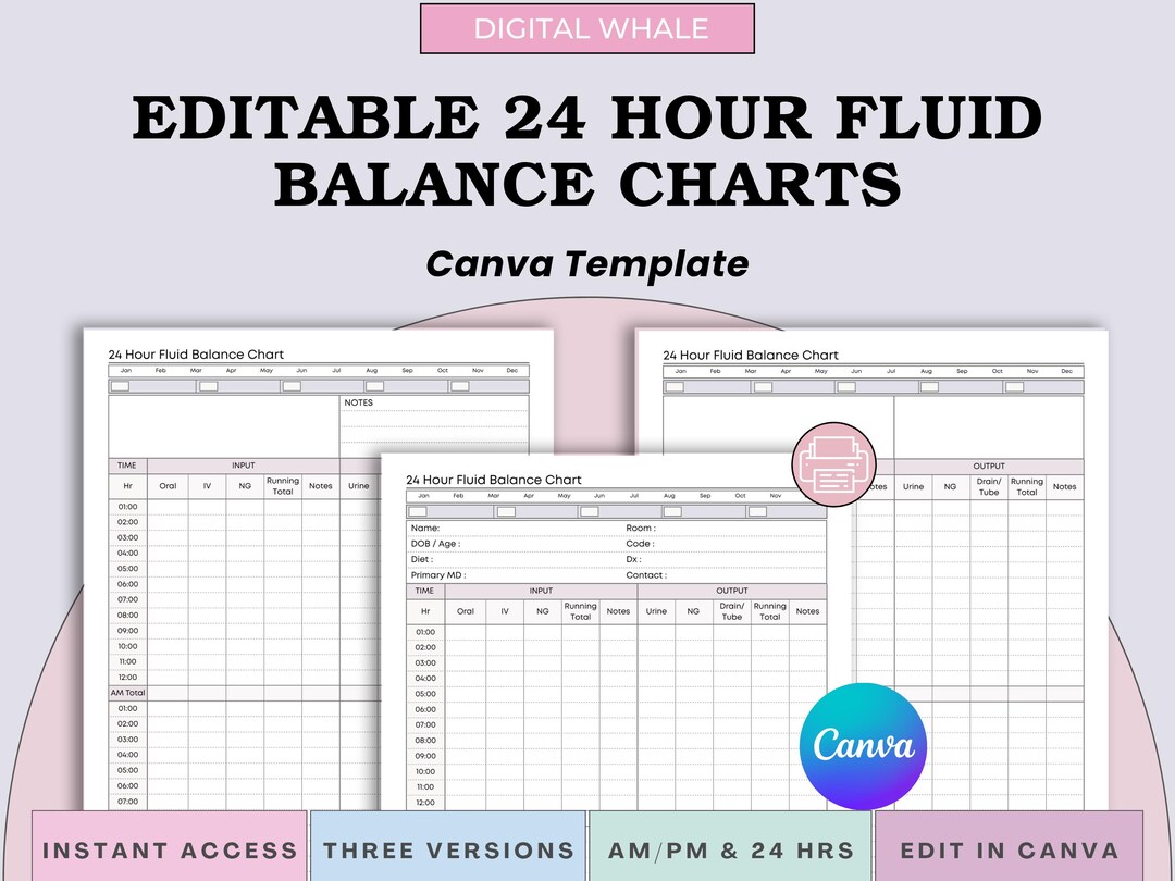 Effortlessly Monitor Intake and Output With Our 24-hour Fluid Balance ...