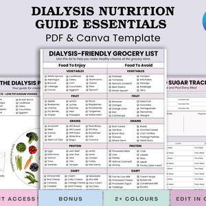 Op de afbeelding: Een sjabloon voor een voedingsgids voor dialysepatiënten, met een boodschappenlijst met voedingsmiddelen om van te genieten en te vermijden, een suikertracker en een gids voor kaliumarme groenten. Beschikbaar als PDF en Canva-sjabloon.
