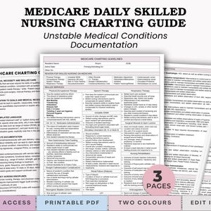 May include: A printable PDF guide titled "Medicare Daily Skilled Nursing Charting Guide" with the subtitle "Unstable Medical Conditions Documentation." The document is pink and white, with the Canva logo in the upper right corner. The guide has 3 pages and is available in two colors.