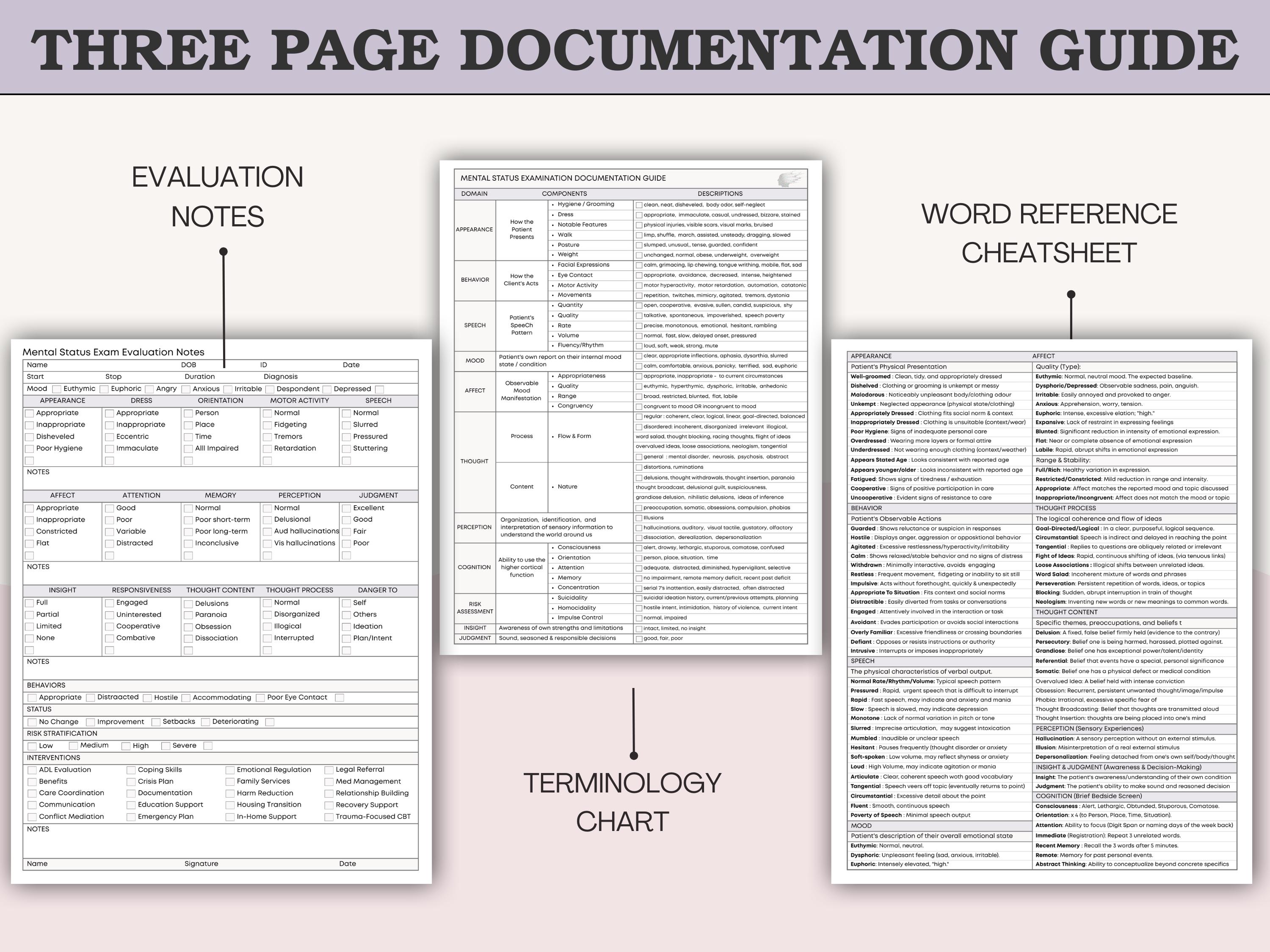 The Complete Mental Status Exam (MSE) Toolkit - Documentation Guide ...