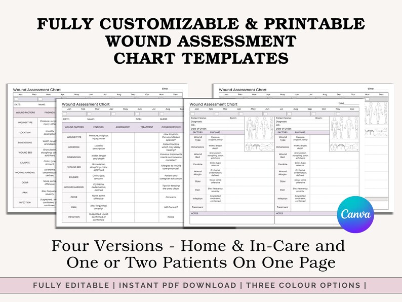 Wound & Pressure Injury Assessment Nursing Chart - LTC, Hospice, Home ...