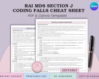 MDS-Abschnitt J Stürze & Verletzungen Spickzettel - MDS Assessment DOCation Coordinator Referenz - Pdf + Canva