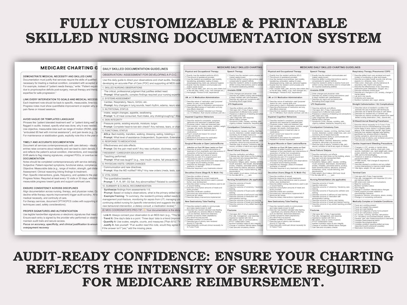 Medicare Documentation Guidelines For Skilled Nursing Facilities