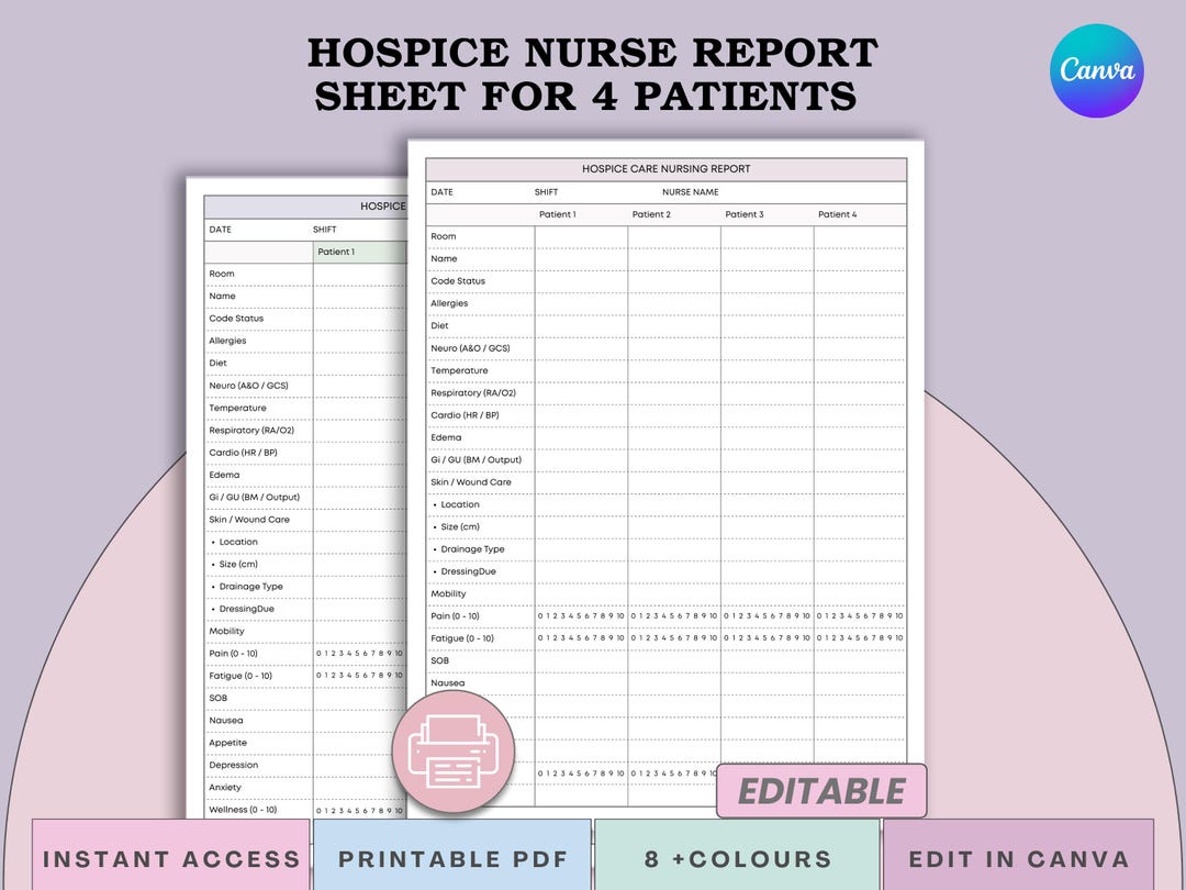 Hospice Nurse Assessment Report Sheet - Palliative Care Visit Log Brain ...