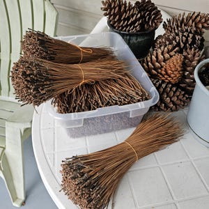 May include: Bundles of dried pine needles tied with orange rubber bands, displayed on a white table. A clear plastic container holds more needles, with pine cones in the background. The needles are brown and the pine cones are a dark brown.