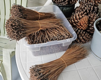 May include: Bundles of dried pine needles tied with orange rubber bands, displayed on a white table. A clear plastic container holds more needles, with pine cones in the background. The needles are brown and the pine cones are a dark brown.