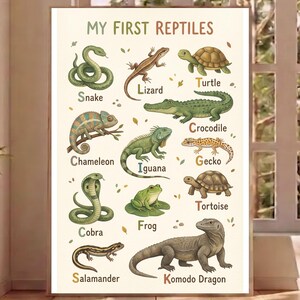 May include: A rectangular educational wall poster titled MY FIRST REPTILES featuring colourful illustrations of a snake, lizard, turtle, chameleon, crocodile, iguana, gecko, cobra, frog, tortoise, salamander, and komodo dragon with their names printed below.