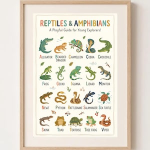 Reptiles and Amphibians Poster, Reptile Names Wall Art, Boys Nursery Decor, Educational Kids Print, Reptile Chart, Toddler Boy Gift