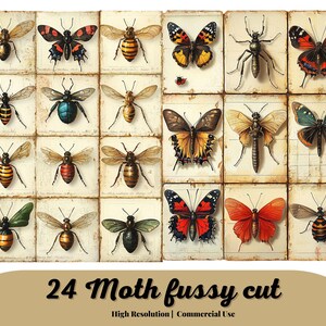 VINTAGE SPECIMEN STRIPS Fussy Cut, vintage images, butterflies, bugs, moths, ladybugs, ephemera, junk journals & scrapbook, journaling spots