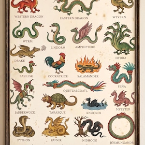 Mittelalterliches Drachen-Bestiarium-Poster, großes, hochwertiges Wandbild, historischer Fantasy-Drachen-Infografik-Druck, Marginalia Art
