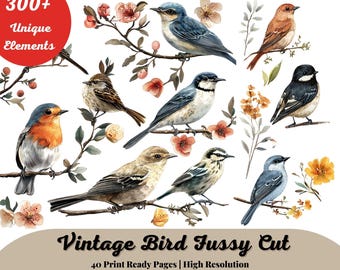 Fussy Cut Vintage Bird Images, Junk journal birds, printable stickers, ephemera, collage sheet, digital download, junk journaling supplies