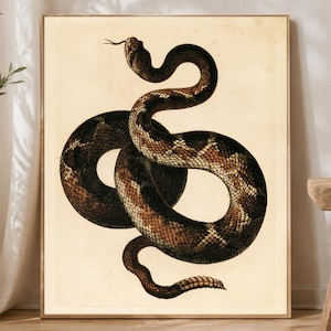 Japanese Snake Wall Art, Vintage Woodblock Serpent Poster, Ochre Rattlesnake Print, Cool Reptile Graphic Poster, Bold Desert Decor