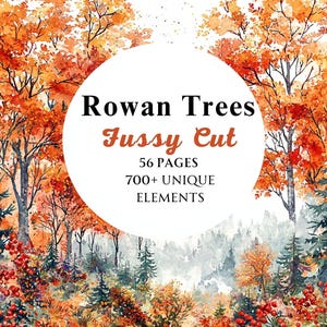 Rowan Trees Watercolor Fussy Cut Bundle, Tree Images, Enchanting Forest Illustrations, Mystical Decor, Instant Download, Commercial Use