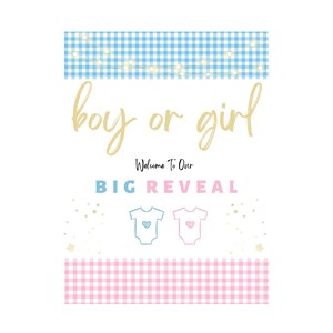DIGITAL Gender Reveal Welcome Sign | Printable Welcome Poster | Baby Reveal Party | Girl or Boy