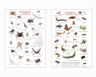 2 pcs Poisonous Spiders and Arachnids, Insects & Myriapods Educational Posters - Instant download - printable - kids - wall decor - art -