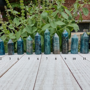 May include: Twelve blue-green apatite crystal towers are displayed, each with a pointed top. The crystals vary in colour and pattern, with some showing streaks of brown and darker blue. They are arranged on a white wooden surface.