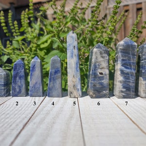 Peut inclure: Huit obélisques en sodalite bleue de tailles variées sont disposés en rangée. Les obélisques présentent des tons bleus et gris avec des veines visibles. Le fond présente un feuillage vert et une surface en bois blanc.