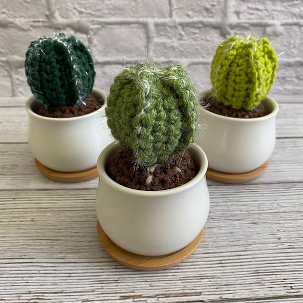 MINI FAIRY CASTLE Crochet Plants+Pot, Modular and Mini Crochet, Mini Succulent Home Decor, Amigurumi Hanging Cactus Plant, House Plant Gift