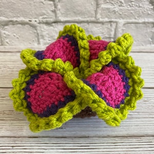 May include: A handmade crochet item featuring a vibrant color palette. The piece showcases a central fuchsia hue, framed by a deep purple border and a bright green, scalloped edge. The item is likely a coaster or decorative piece.